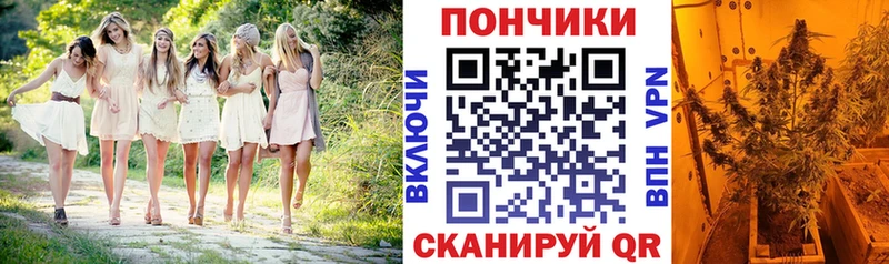 Магазин наркотиков Егорьевск АМФ  Cocaine  Codein  Марихуана  A-PVP  ГАШ 
