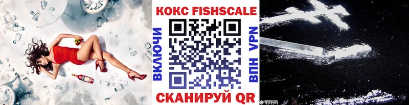 Cocaine FishScale  цены   Егорьевск 