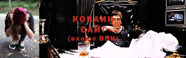 тгк Абаза