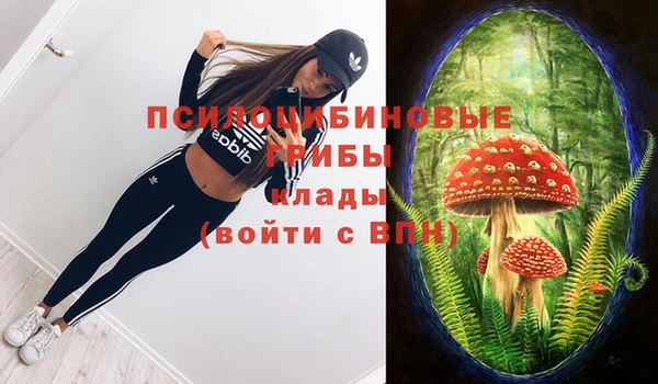 тгк Абаза