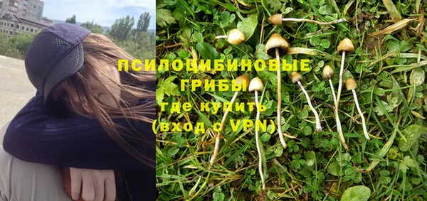 соль курить ск Алексеевка