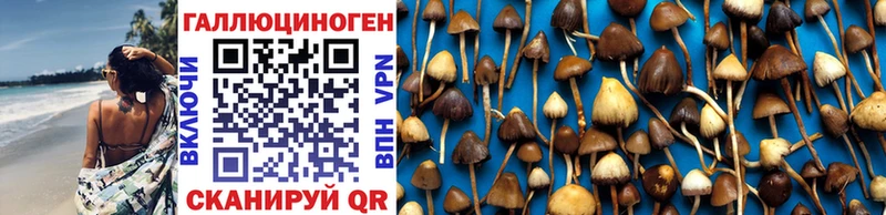 Галлюциногенные грибы GOLDEN TEACHER наркошоп Егорьевск